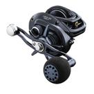 Carretel de pesca Daiwa Lexa 300 HD Baitcasting 6 CRBB