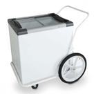 CARRINHO BRANCO PARA SORVETES E CONGELADOS 180l 220V