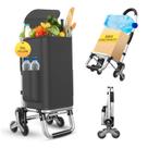 Carrinho de compras ISWEES Heavy Duty 3 em 1 50 kg com bolsa impermeável