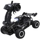 Carrinho de Controle Remoto Gatilho Off-Road Buggy Alta Performance (5 Canais - 20 km/h)