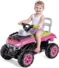 Carrinho de Passeio Cross Up Rosa Andador Infantil Calesita Brinquedo 2 em 1 para Menina +12 Meses Carrinho de Passeio Cross Up Rosa Andador Infantil Calesita Brinquedo 2 em 1 para Menina +12 Meses