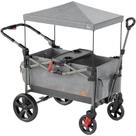 Carrinho de passeio dobrável Busy Bee para 2 crianças com dossel cinza