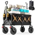 Carrinho de Praia VARRONOBE com Rodas de Borracha 9 x 3" 159 kg 200 L