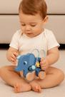 Carrinho Elefante Madeira Buba Brinquedo Educativo Bebê Carrinho Elefante Madeira Buba Brinquedo Educativo Bebê