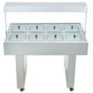 Carro Buffet Termico Bbmm-8 8 Cubas 220V - Edanca