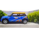 Carro Netcar Mini Cooper Sortido Nettoy