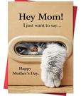 Cartão de Dia das Mães com Gato Engraçado IDU 20,5 x 13,5 cm