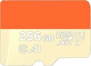 Cartao de memoria de 256 Gb de 100 mbs