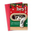 Cartão de Natal FSSDAS Gato Engraçado Presente de Natal 20x13 cm