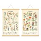 Cartaz vintage pendurado em quadro de flores de Chenkaiyang 32x55cm 2P