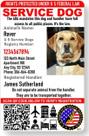 Carteira de Identificação para Cão de Serviço Just 4 Paws com QR Code e Porta-Crachá Carteira de Identificação para Cão de Serviço Just 4 Paws com QR Code e Porta-Crachá