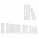 Cartela 480 Unhas Postiça Francesa Natural Profissional Cartela 480 Unhas Postiça Francesa Natural Profissional