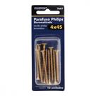 Cartela Parafuso Chipboard Brasfort Cabeca Chata Philips 4,0X45 Cartela Com 10 Pecas 7697 Cartela Parafuso Chipboard Brasfort Cabeca Chata Philips 4,0X45 Cartela Com 10 Pecas 7697