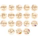 Cartões Baby Monthly Milestone Capoda My First Holiday 18 unidades