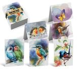 Cartões comemorativos Better Office Products, pacote com 50 Butterfly & Birds, 4x6 polegadas