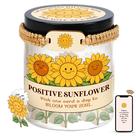 Cartões de afirmação Jar Positive Pickle para mulheres