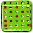 Cartões de bingo Regal Bingo Bulk com janelas deslizantes, pacote com 8 unidades verdes