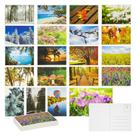 Cartões postais BEST PAPER GREETINGS 40 Pack Nature 10x15 cm
