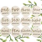 Cartões Wooden Baby Monthly Milestone de 1 a 12 meses (12 pacotes)