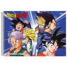 Cartografia C.D. 60 fls São D. - Dragon Ball 15