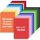 Cartolina colorida MAXECHO 8,5 x 11 180gsm 300 folhas 30 cores