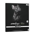 Cartolina de artesanato Astrodesigns 12x12 176gsm muito preta 60 folhas