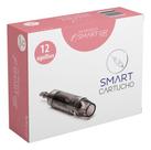 Cartucho Para Smart Derma Pen Preto 12 Agulhas 10un Smart Gr