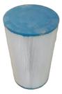 Cartucho Refil Para Filtros CWF 250 300 Jacuzzi