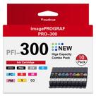 Cartuchos de Tinta PFI-300 - Cartuchos Compatíveis de Alta Capacidade PFI 300 para Impressora Canon ImagePROGRAF PRO-300, Pacote com 10 Unidades (MBK/PBK/C/M/Y/PM/PC/R/GY/CO)