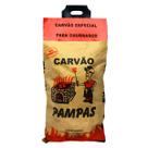 Carvão Especial para Churrasco Cem Porcento Madeira de Eucalipto Acende Fácil Alta Qualidade 2kg