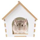 Casa brinquedo toca chinchila mini coelho poquinho da india ferret furão
