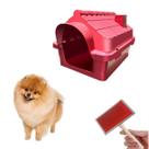 Casa P/ Cachorro Porte Médio N1 + Rasqueadeira Cabo Madeira