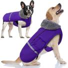 Casaco de inverno para cães, jaqueta impermeável Doglay para climas frios