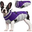 Casaco para cães FUAMEY Winter impermeável à prova de vento roxo XS