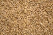 Casca de arroz natural 20 litros para forração de animais domésticos