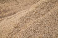 Casca de arroz natural
