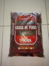 Casca de punks polida Casca de punks polida