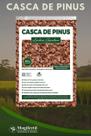Casca Pinus Semi Polida Natural Decoração tratada 6kg 40 litros - Gold Plant