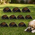 Casco Boi 100% Natural Mordedor Cachorro Bovino Petisco Pet -