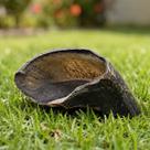 Casco Boi 100% Natural Mordedor Caes Bovino Petisco Pet