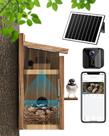 Casinha de Pássaros KinetCam Câmera WiFi Solar 2K HD Casinha de Pássaros KinetCam Câmera WiFi Solar 2K HD