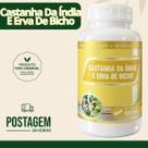 Castanha da Índia + Erva de Bicho 500mg 60 Cápsulas