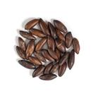 Castanha de Baru Torrada Casa Santa Luzia 230g