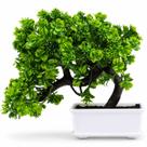 Castela planta artificial de plastico c/ vaso cdy0001 Castela planta artificial de plastico c/ vaso cdy0001
