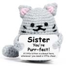 Cat AiCase Sister Gift Emotional Support Plush de crochê Cat AiCase Sister Gift Emotional Support Plush de crochê