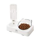 Cat Bowl Set: Alimentador de alimentos inclinado Marchul com abastecimento de água