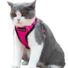 Cat Harness Mr. Peanut's PurrTrek Reflective com coleira rosa S