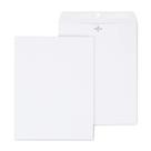 Catálogo Envelope Staples Clasp & Gummed 10x13cm 200/caixa