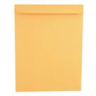 Catálogo: Envelope Universal UNV44165 Brown Kraft 10x13cm 250u