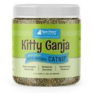 Catnip Raw Paws Fresh for Cats 30mL - Brinquedos recarregáveis
